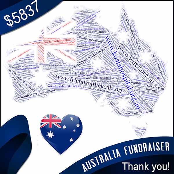 Donation Australia